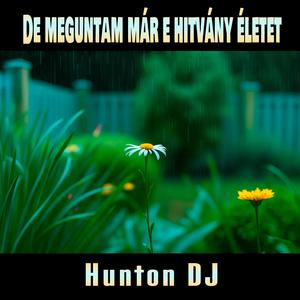 De meguntam már e hitvány életet