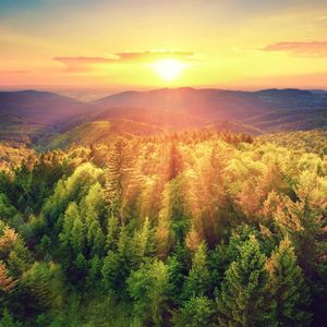 夜枕青山 (高潮版)