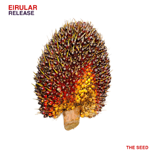 Sheild (Original Mix)