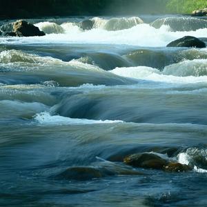 寄岑嘉州州据蜀江外