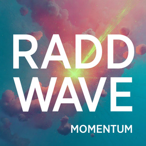 Momentum