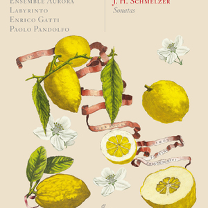 Sacro-profanus concentus musicus: Sonata No. 4 a 6