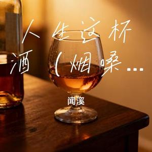人生这杯酒 (烟嗓大叔)