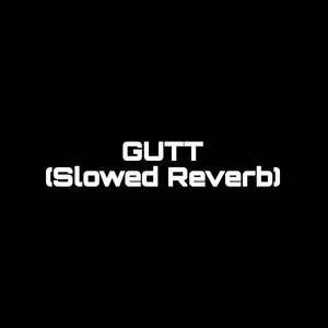 GUTT (Slowed Reverb) (1)