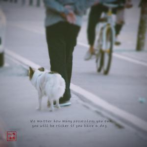 晚风（翻自 陈婧霏）