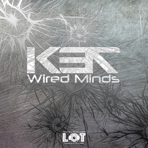 Wired Minds (Indii Moon Rework)