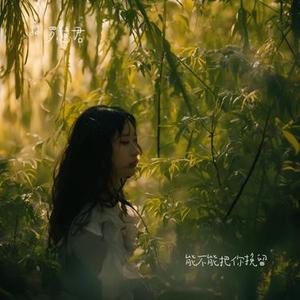 如果有一天我消失在人海