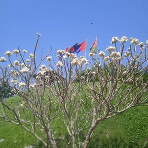 Kadhe Matha