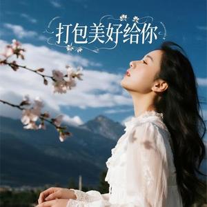打包美好给你
