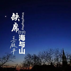 缺席你的海与山
