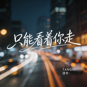 只能看着你走（伤感版）