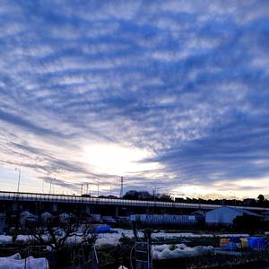ミステリアス　mysterious