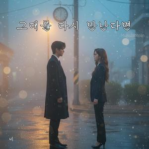 그대를 다시 만난다면