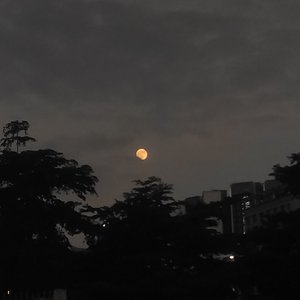 再见难免