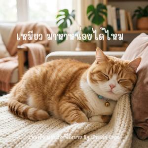 เหมียว มาหาหน่อยได้ไหม