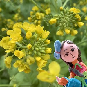 小小航海家配乐版