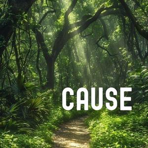 Cause