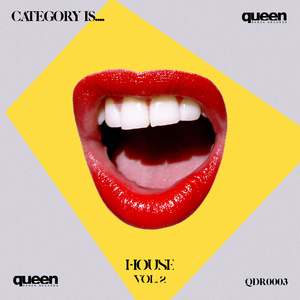 Shadows of the Night (Dirty Disco Mainroom Remix)