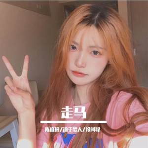 群星-走马(抖音DJ完整原版)