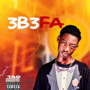 3B3FA