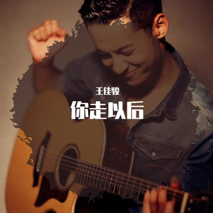 你走以后