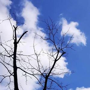 不知道未来在哪