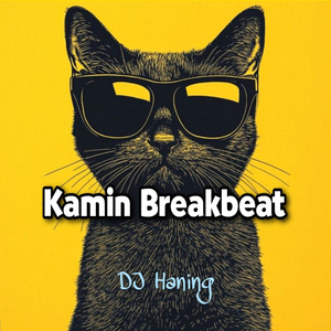 Kamin Breakbeat