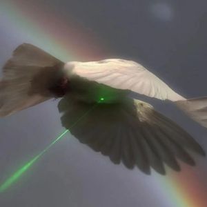 TanC:SASIOVERLXRD(Instrumental)