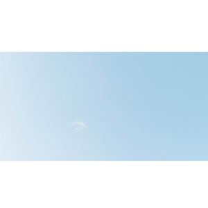 洒下海面的月光