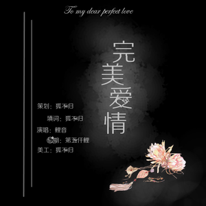 恋恋故人难-完美爱情（鲤音 remix）