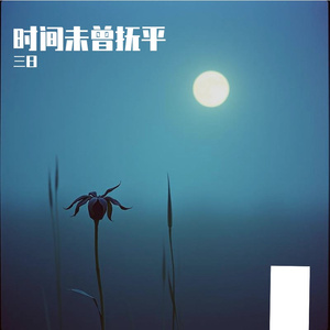 时间未曾抚平