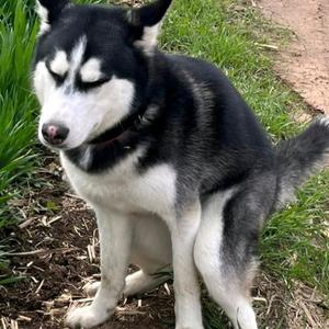 康熙-落泪（emo2.0版）（热心市民小叔 / 康熙 remix）