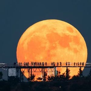 为什么没有紧紧抓住