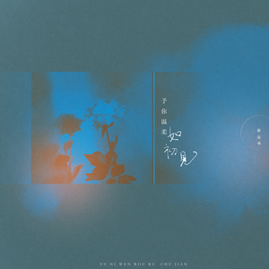 予你温柔如初见 (伴奏)