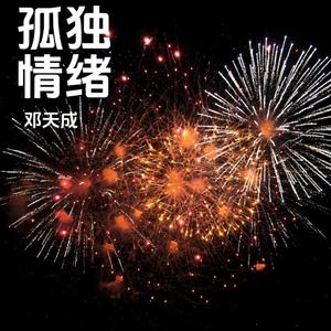 孤独情绪