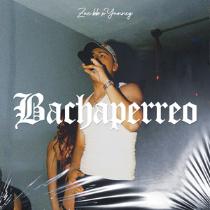 El Bachaperreo