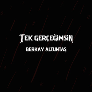 Tek Gerçeğimsin