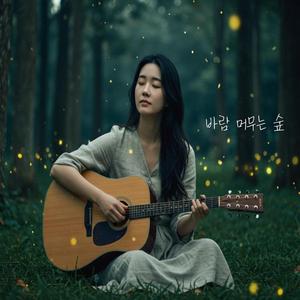 바람 머무는 숲