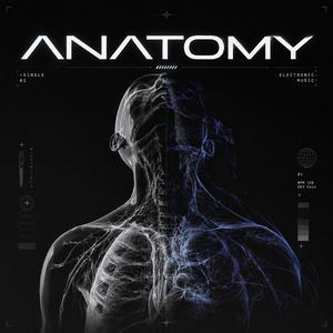 ANATOMY