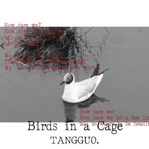 Birds in a Cage 笼中之鸟