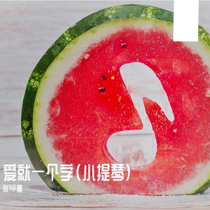 中国新声代-爱就一个字（卡农版）（张晫嘉 remix）