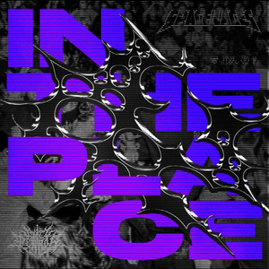 IN THE PLACE (PIXEL TERROR DNB FLIP)