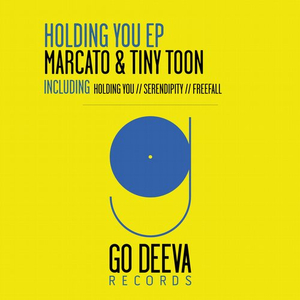 Holding You (Original Mix)