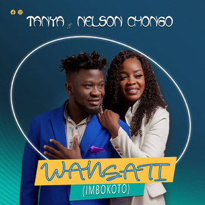 Wansati [Imbokoto] (feat. Ali Moyana)