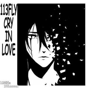 113Fly Cry in Love