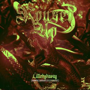 Way Too Loud (feat. LuhDreko & Yungstreet)