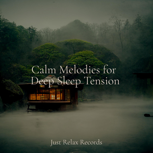 Wild Mysteries Unveiled