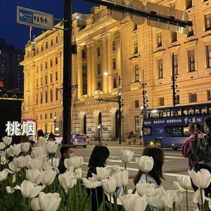 嘻哈爱情浮游绘