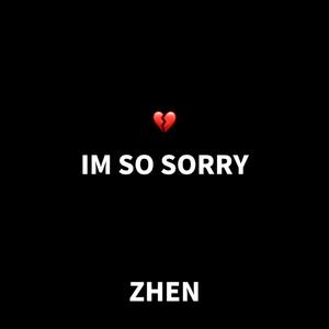 IM SO SORRY