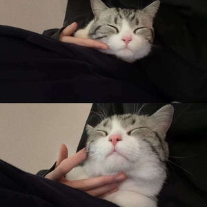 六口之家